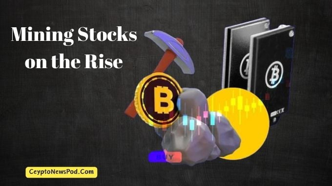 As soon as Bitcoin Reached $50k, The Stocks of these Companies Skyrocketed!