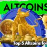 Unveiling MickeyBull's Top 5 Altcoin Picks for the 2024 Crypto Bull Run!